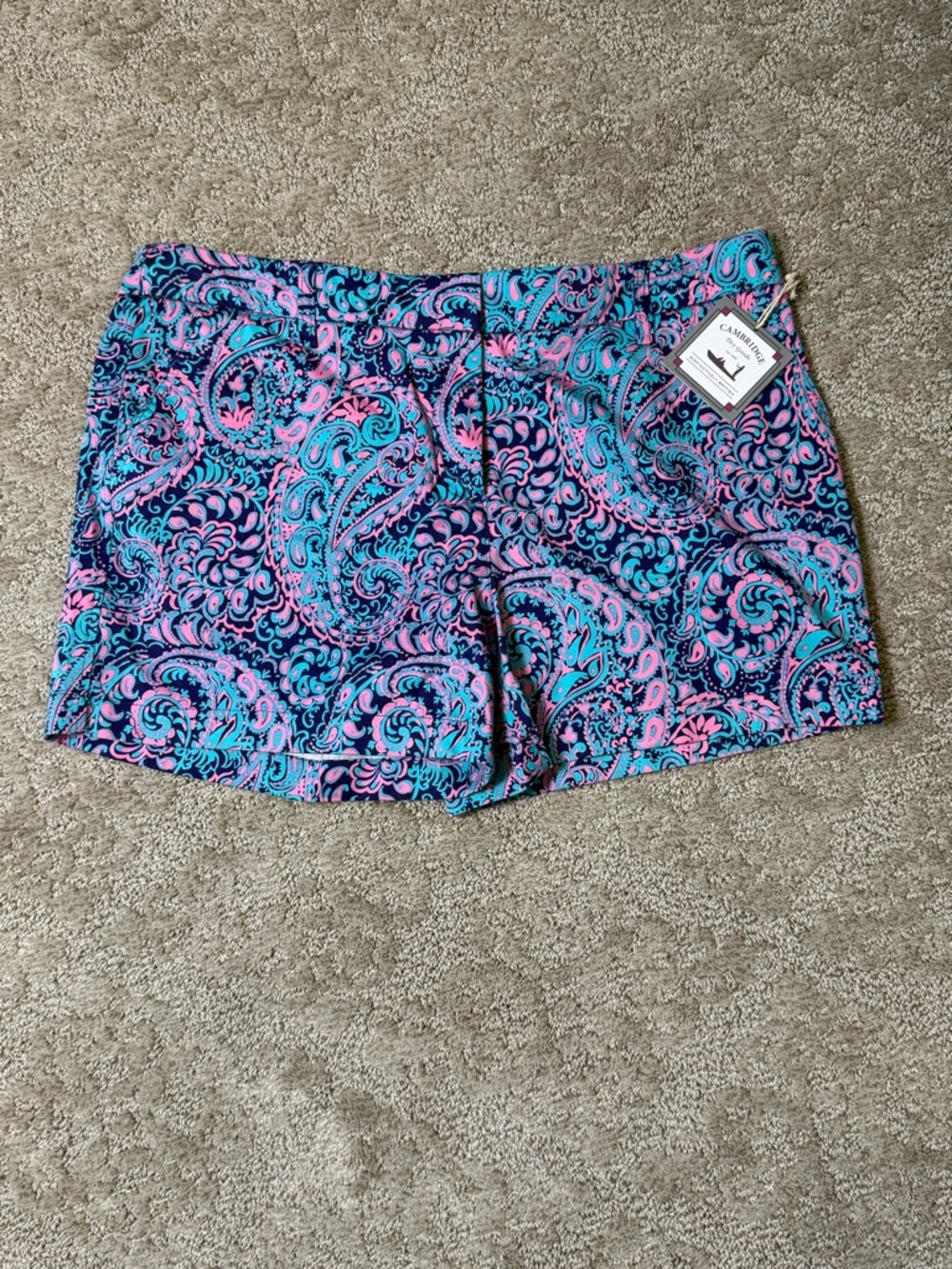 Cambridge Dry Goods Paisley Print Stretch Shorts - Pink & Blue